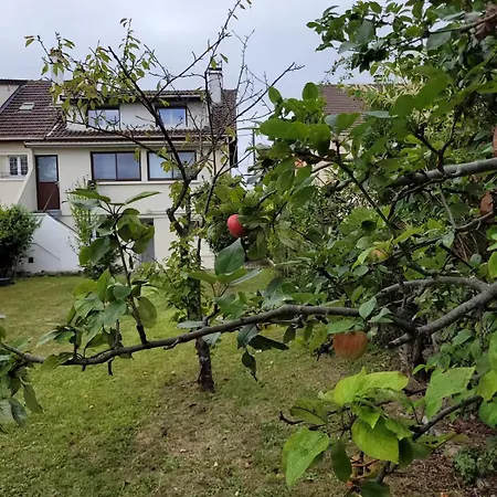 A 30 Min Des Parcs Asterix Et Disneyland * Chelles (Seine-et-Marne)